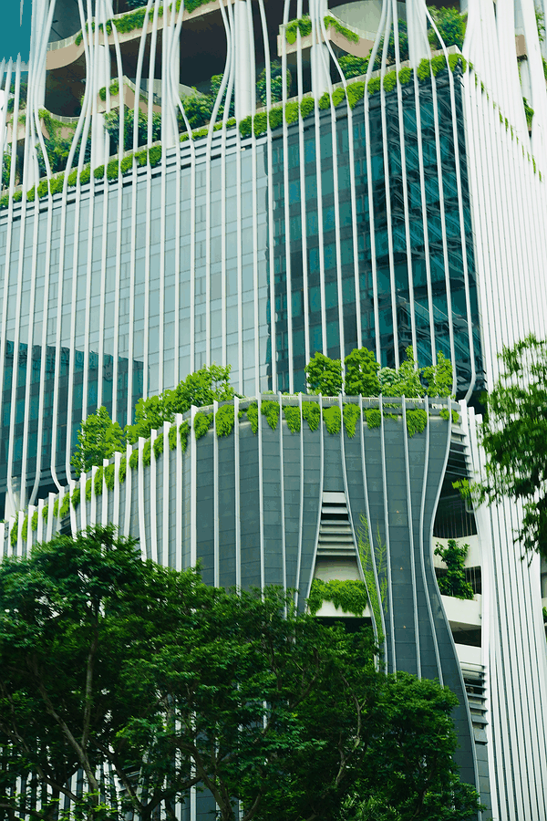 Workshop visual for Implementation Roadmap